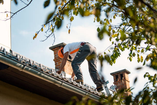 Best Metal Roofing Contractor  in Buellton, CA